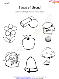 environmental science class 1 five senses worksheet 5