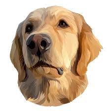 Hidayat Cartoon I Will Draw Your Pet Into A Vector In 24 Hours For 5 On Fiverr Com Dog Paintings Dog Portraits Art Dog Illustration
