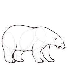 On commence par la tête avec un grand arc de cercle, puis le corps … pour dessiner un poussin, il faut être patient et attentif. How To Draw A Polar Bear 14 Steps With Pictures Wikihow Polar Bear Coloring Page Polar Bear Outline Polar Bear Drawing