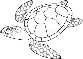 Check spelling or type a new query. Swimming Sea Turtle Stock Illustrations 3 794 Swimming Sea Turtle Stock Illustrations Vectors Clipart Dreamstime