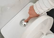 How to Fix a Faulty Toilet Flush Button: DIY Toilet Repair