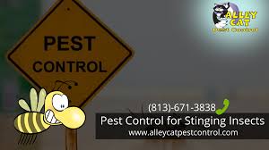 Visit our website for further info: Pest Control Tampa Pest Control For Stinging Insects