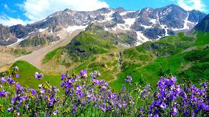 We have a massive amount of hd images that will make your computer or smartphone. Nature Landscape Mountain Purple Flowers Wallpaper Hd 2880x1800 Wallpapers13 Com