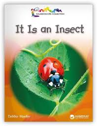 It Is An Insect Big Book Big Book Social Themes Spanish Teacher Resources