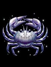 The sensitive cancer is easily offended and many. 120 Zodiac Ideas Zodiac Zodiac Art Zodiac Signs