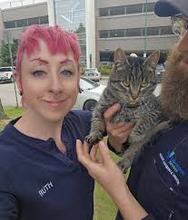 Lost friendly dog in Lethbridge hospital area