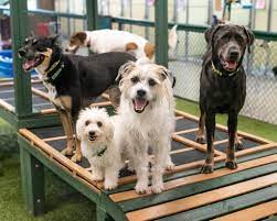 We did not find results for: For Pet S Sake Home Facebook