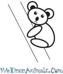 How to draw rainforest animals.be a drawing master of your skill. How To Draw A Simple Koala For Kids