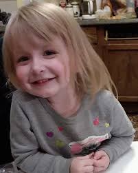 K-9 Heaven Pet Grooming In Staunton, Virginia