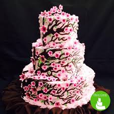 We have now placed twitpic in an archived state. Nikon Cakes And Accessories Best Cake Shop In Cdo