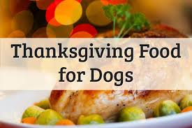 Ingredients 1/2 cup turkey breast is your dog or cat eating risk ingredients? Foods Your Dog Can And Cannot Eat On Thanksgiving 2021