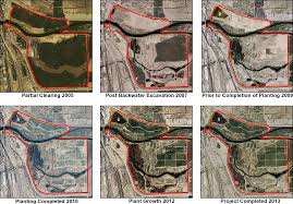 Assessment of Using NAIP Imagery Classification to Perform Restoration  Monitoring in the Yuma East Wetlands, Yuma, Arizona