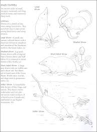 Book shows minimal handling wear. Peterson Field Guide Color In Book Mammals Houghton Mifflin 9780544032545