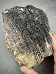Maybe you would like to learn more about one of these? Natural Black Petrified Wood Fossil With Sparkling Quartz Etsy Petrified Wood Fossilized Wood Wood