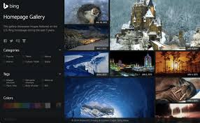 bing wallpaper gallery 收錄近五年bing 背景圖片 可免費下載用於桌面 wallpaper gallery nature animals gallery