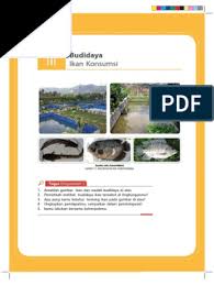 Check more flip ebooks related to buku prakarya kelas 7 semester 2 of budi tk. Bab Iii Prakarya Kelas 8 Semester 1 Pdf