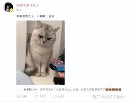 爆火的劝导一姐，一晚狂赚上百万！如今却被黑料缠身退网？ - 知乎