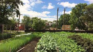 Pin On Urban Agriculture