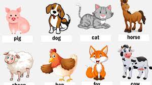 Animal Names List And Type Of Animals English Grammar Here