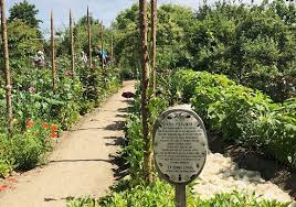 Mandelmanns tvist med grannarna nöje1 april 2018 05:38mandelmanns planer på en ny parkering får grannarna att koka på. Tradgarden Picture Of Mandelmanns Tradgardar Simrishamn Tripadvisor