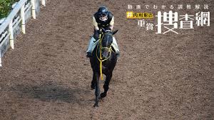 出走予定馬予想オッズ (2020年7月16日 19:58) アイビスsd2020新潟競馬場芝1000m日程：2020.7.26 賞金順出走可能頭数：18頭 予想 ｵｯｽﾞ 出走予定馬 騎手 …. Mbbrvxcixnwo8m