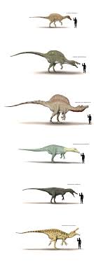 Dinosaur Human Size Chart By Hyrotrioskjan I Love The Way