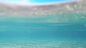 Naputi Marina Soothing Gifs Ocean Waves