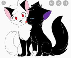 warrior cats ships geissel und schwarzkralle warrior cat warrior cats cats