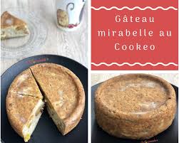 Gateau Mirabelle Au Cookeo Chezgourmandine