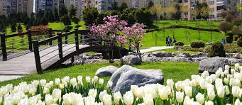 Check spelling or type a new query. Exploring Basaksehir Area Of Istanbul House Buyer S Guide Property Turkey