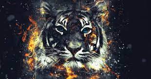  Gambar Wallpaper Harimau Keren Sebab Layar Utama Merupakan Tampilan Awal Yang Akan Kalian Lihat Waktu Membuka Kunci Layar Dan Yang Amat Pop Fond Ecran Ecran