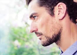 Lady Perla y el Caballero de Bristol