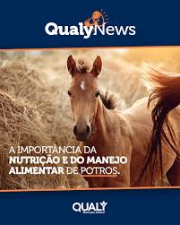 Nutrição e Manejo Alimentar de Potros - Blog Qualy Nutrição Animal