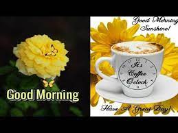 We did not find results for: Beautiful Good Morning Images Youtube Good Morning Beautiful Good Morning Images Good Morning Image Quotes