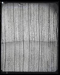 Here's six digital jigsaw puzzles from smithsonian libraries created through jigsaw explorer that feature a few favorite images from their collection. Smithsonian Institution Archives Smithsonian Libraries Unbound