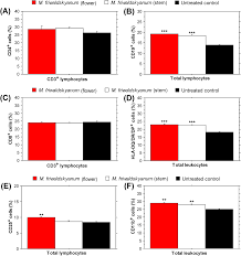 Image result for Cissus welwitschii