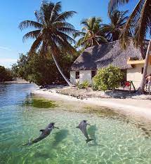 Cayo Largo Cuba Scenery Beautiful Places Mermaid Beach