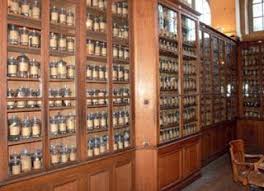 Tamamlayici Tip Nedir Tip Bitki