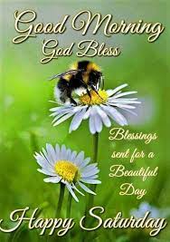 Begin each day with a. 180 Saturday Blessings Images Pics Quotes Wishes And Gif