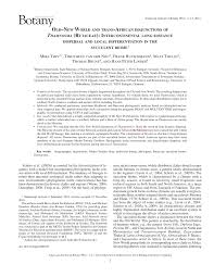 Image result for Thamnosma rhodesica