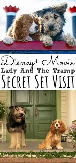 Disney Lady And The Tramp Set Visit Lady And The Tramp Disney Ladies Disney Plus