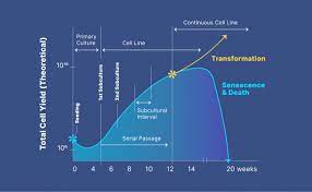 In this context, it is the current state of humanity's knowledge of how to combine resources to produce desired products, to solve problems, fulfill needs, or satisfy wants; Cell Culture Basics Equipment Fundamentals And Protocols Technology Networks