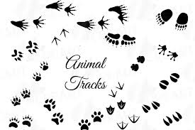 Choose from over a million free vectors, clipart graphics, vector art images, design templates, and illustrations created by artists worldwide! Animal Tracks Woodland Animals Footprints Clipart Pack 109435 Illustrations Design Bundles