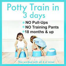 And it damn near killed me. Potty Training In Three Days How I Trained All Of Our Kids To Use The Potty In Three Day And All Be Potty Training Girls Toddler Potty Training Toddler Potty
