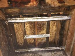 When i built the house, 30 years ago, it rained during the time the. How Do I Know If I Have Mold In My Home New Life Restoration