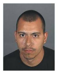 Gang Member Sentenced to 6 Years for Robbing a Puppy From a 9-year-old Girl 