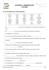 Chapter 11 Respiratory System Fill In The Blank Sentences Worksheet Quickworksheets