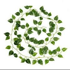 Check spelling or type a new query. Jual Super Murah Hiasan Daun Daun Dekorasi Dinding Daun Hias Daun Plastik Di Lapak Desrastore Bukalapak