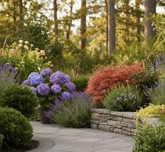 Image result for Synandrodaphne