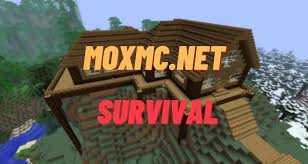 Add and promote your server on the best top list for more players. Top 5 Minecraft Survival Servers To Play In 2021